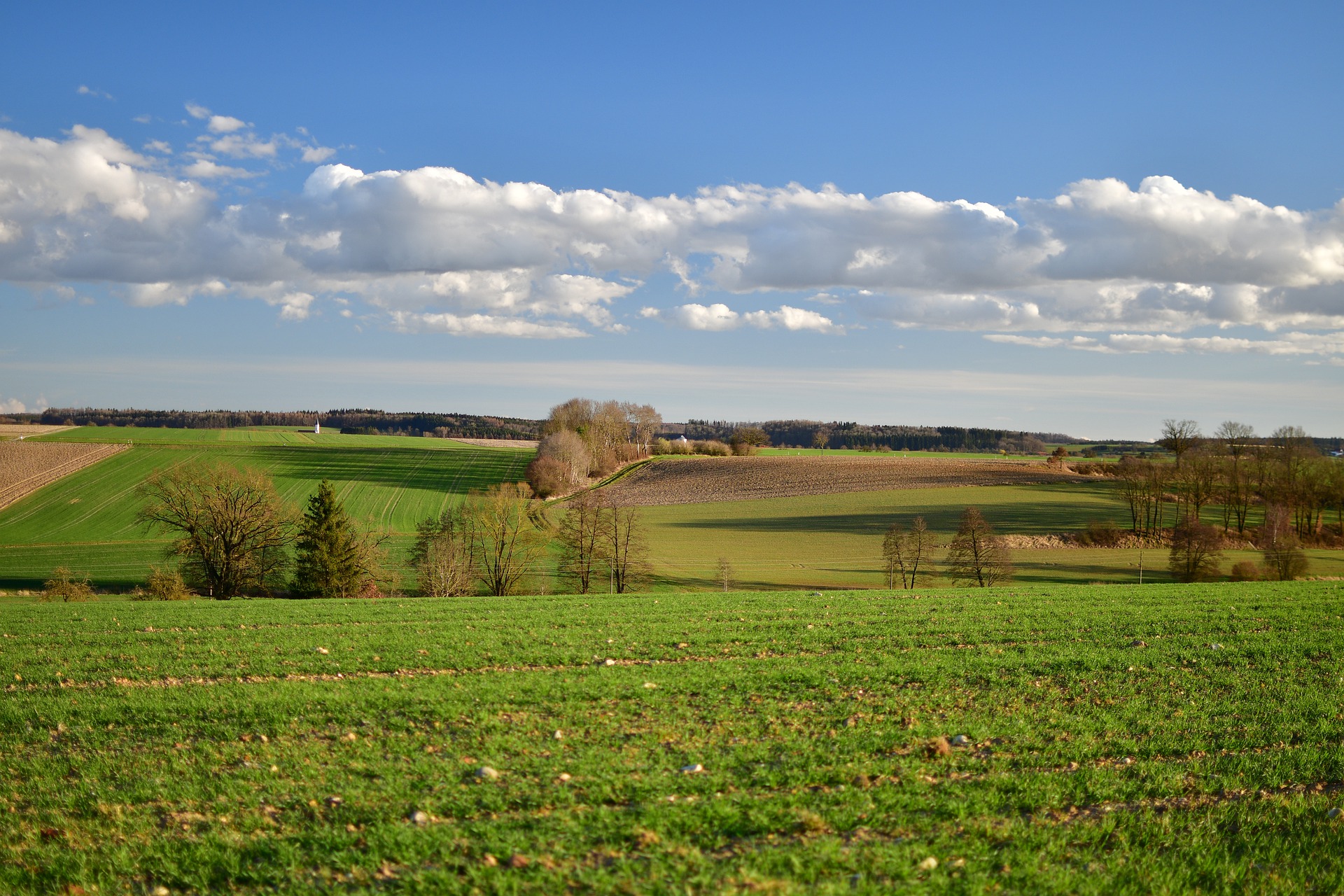 landscape-4953714_1920 oberchwaben landschaft